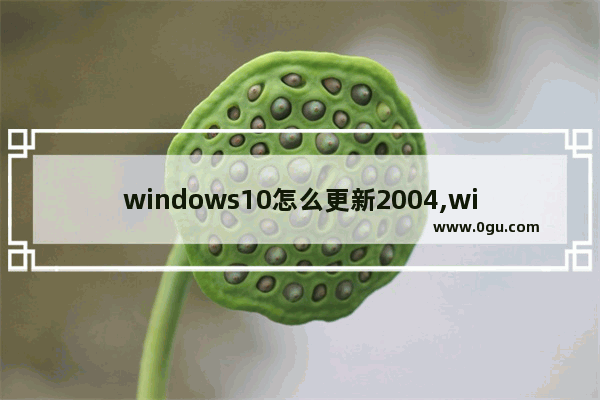 windows10怎么更新2004,win10 2004版本千万别更新