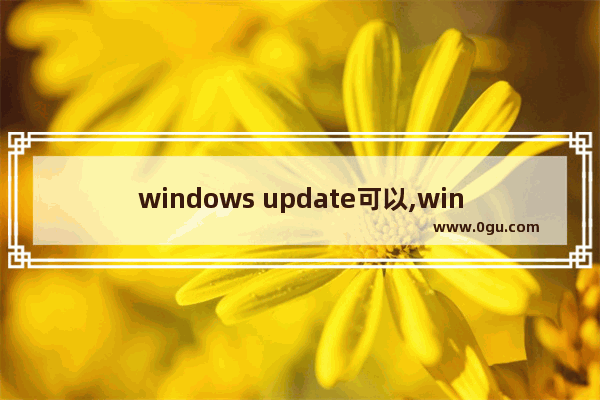 windows update可以,windows update是干什么的