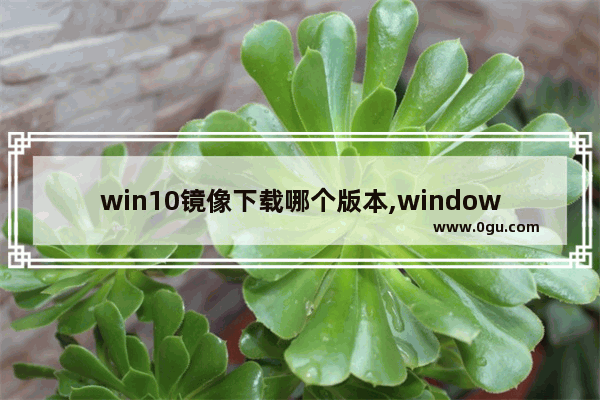 win10镜像下载哪个版本,windows10原版镜像下载