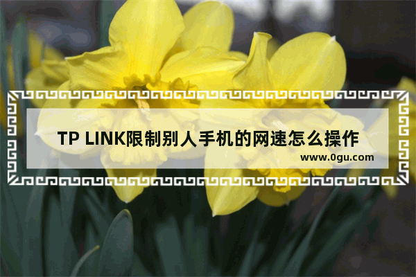 TP LINK限制别人手机的网速怎么操作