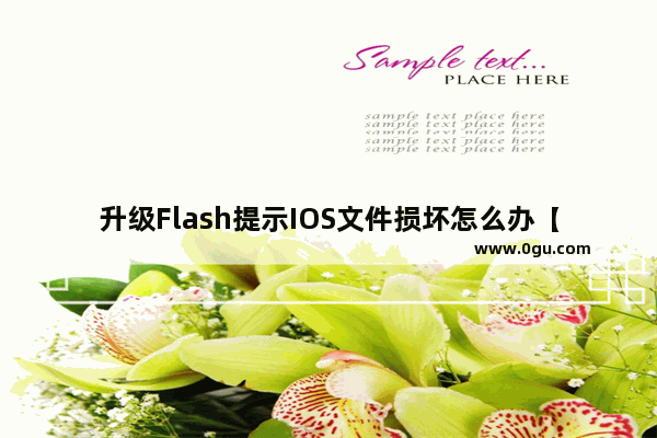 升级Flash提示IOS文件损坏怎么办【解决方法】