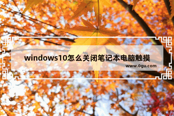 windows10怎么关闭笔记本电脑触摸板,笔记本win10触摸板无法关闭