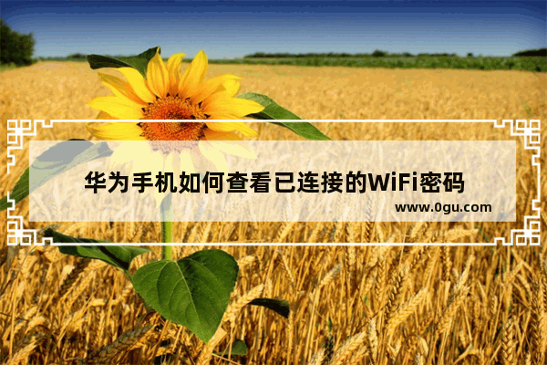 华为手机如何查看已连接的WiFi密码