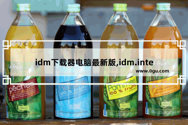 idm下载器电脑最新版,idm.internet.download.manager.plus