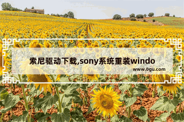 索尼驱动下载,sony系统重装windows10 1