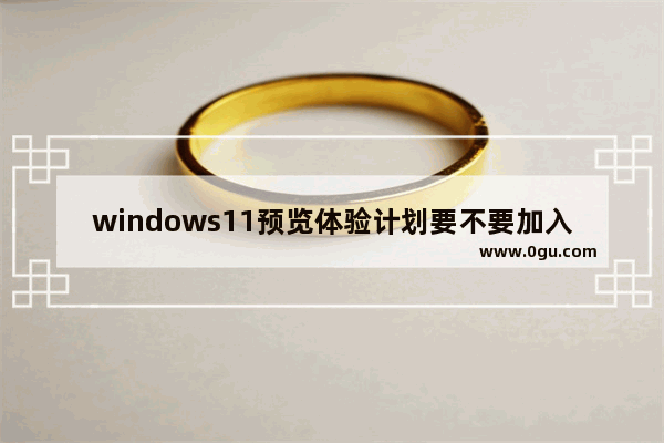 windows11预览体验计划要不要加入,windows预览体验计划选哪个渠道