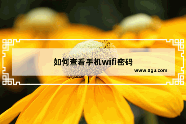 如何查看手机wifi密码