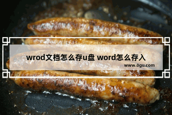 wrod文档怎么存u盘 word怎么存入u盘