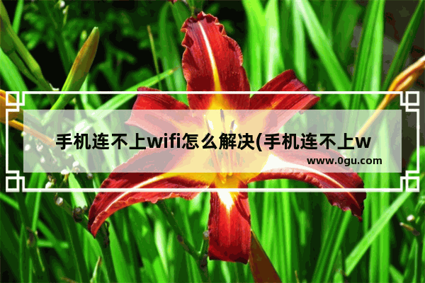 手机连不上wifi怎么解决(手机连不上wifi是什么毛病)