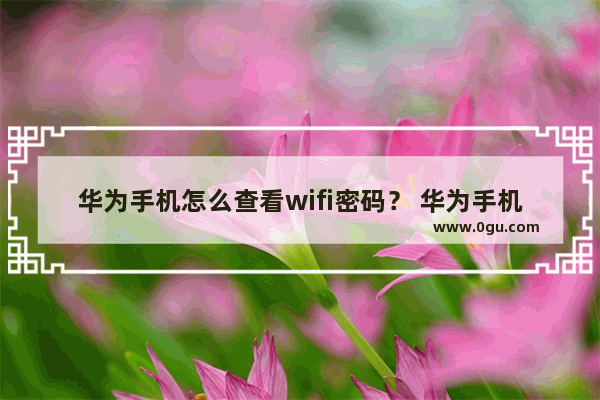 华为手机怎么查看wifi密码？ 华为手机WiFi密码查看方法是什么？