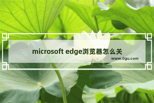 microsoft edge浏览器怎么关闭广告,edge浏览器去除广告