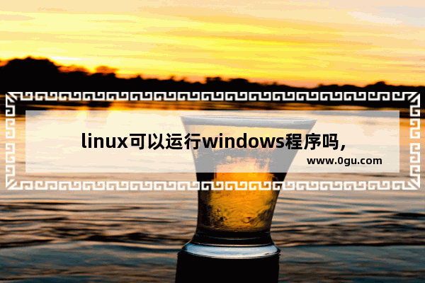 linux可以运行windows程序吗,