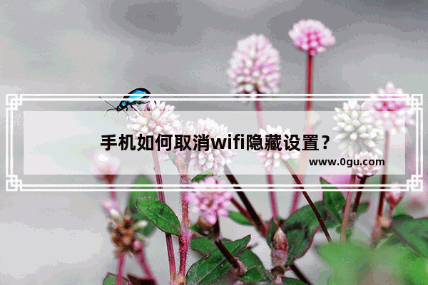 手机如何取消wifi隐藏设置？