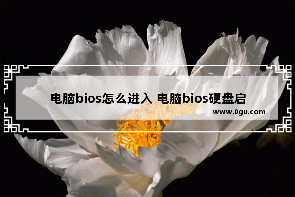 电脑bios怎么进入 电脑bios硬盘启动设置方法