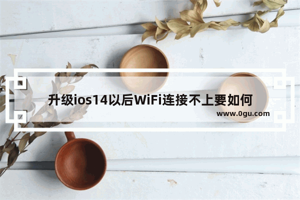 升级ios14以后WiFi连接不上要如何解决?升级ios14以后WiFi连接不上的解决方法