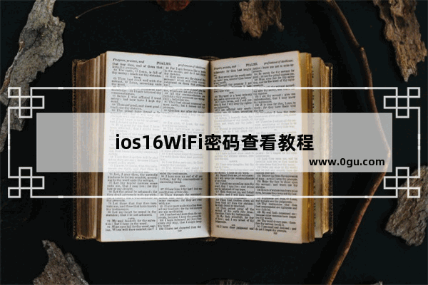 ios16WiFi密码查看教程