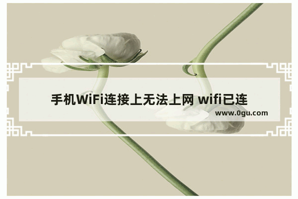 手机WiFi连接上无法上网 wifi已连接(无法上网)