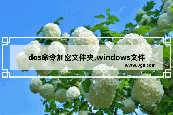 dos命令加密文件夹,windows文件加密命令