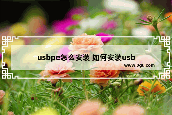 usbpe怎么安装 如何安装usb