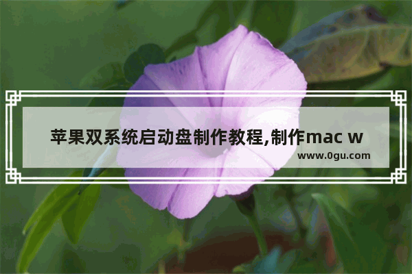 苹果双系统启动盘制作教程,制作mac win双启动盘