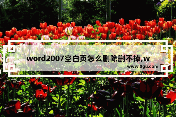 word2007空白页怎么删除删不掉,word中空白页无法删除的两种解决方法