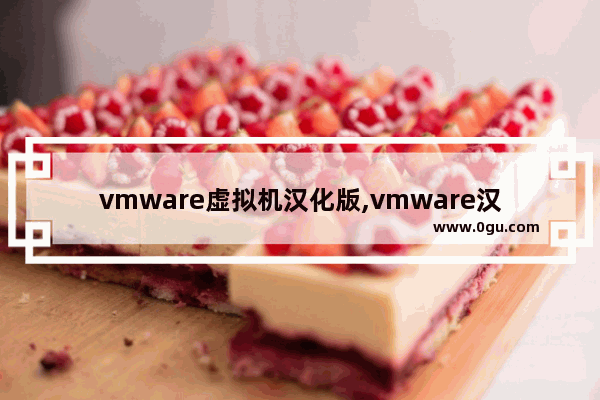 vmware虚拟机汉化版,vmware汉化教程