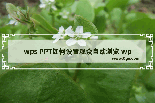 wps PPT如何设置观众自动浏览 wps PPT设置观众自动浏览的方法