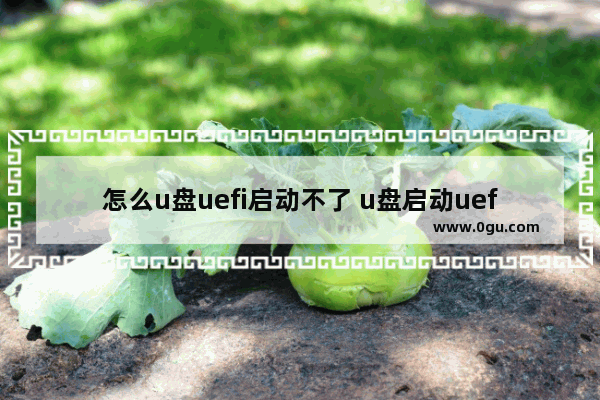 怎么u盘uefi启动不了 u盘启动uefi启动不了