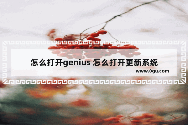 怎么打开genius 怎么打开更新系统