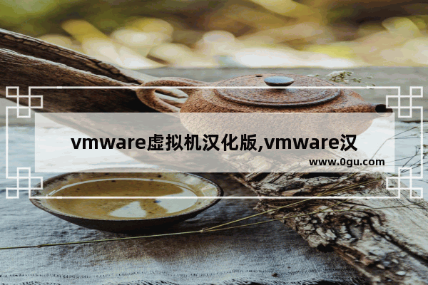 vmware虚拟机汉化版,vmware汉化教程