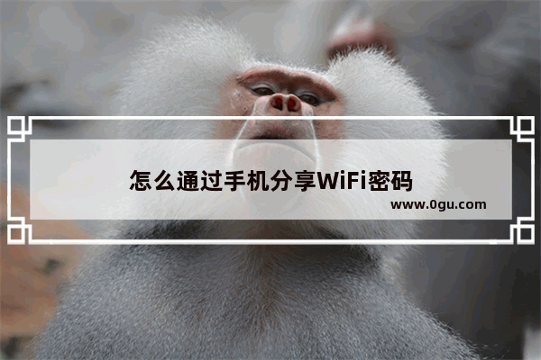 怎么通过手机分享WiFi密码