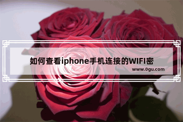 如何查看iphone手机连接的WIFI密码