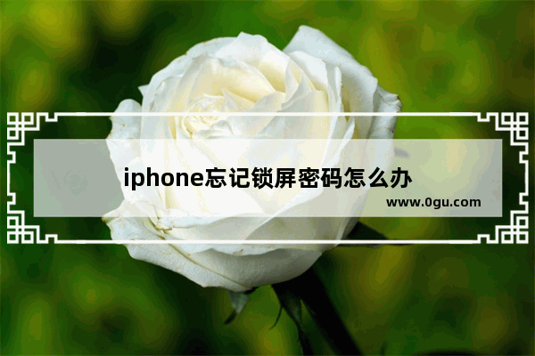 iphone忘记锁屏密码怎么办