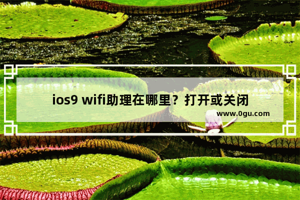 ios9 wifi助理在哪里？打开或关闭ios9 wifi助理的方法