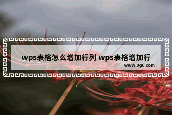 wps表格怎么增加行列 wps表格增加行列的方法