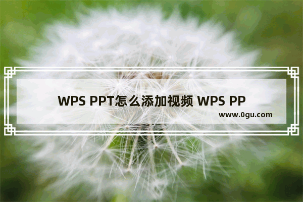 WPS PPT怎么添加视频 WPS PPT添加视频的方法