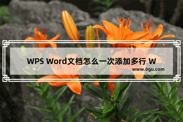 WPS Word文档怎么一次添加多行 WPS Word文档一次添加多行的方法