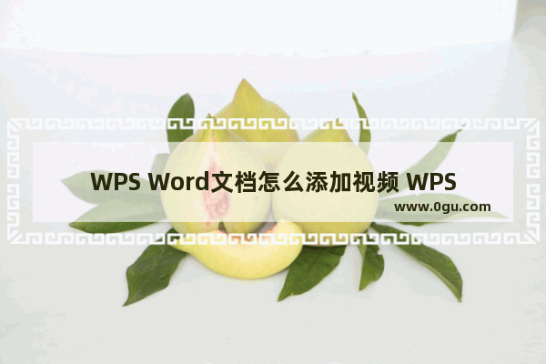 WPS Word文档怎么添加视频 WPS Word文档添加视频的方法