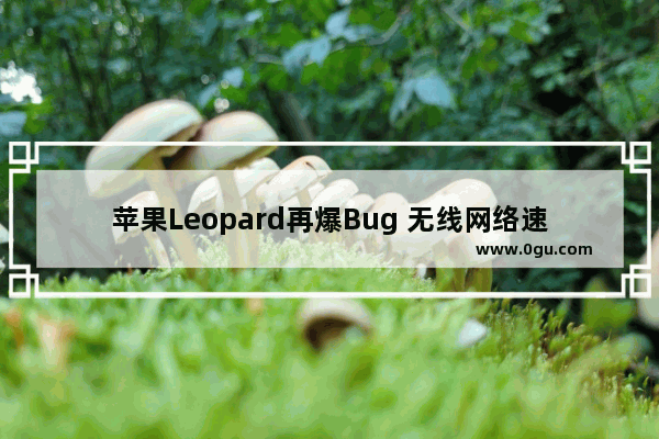 苹果Leopard再爆Bug 无线网络速度减慢