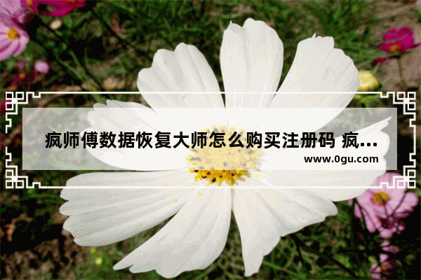 疯师傅数据恢复大师怎么购买注册码 疯师傅数据恢复大师购买注册码方法