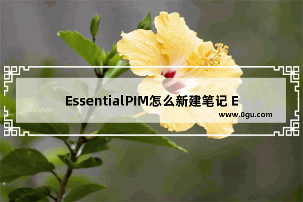 EssentialPIM怎么新建笔记 EssentialPIM新建笔记的方法