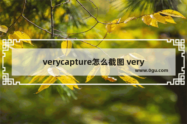 verycapture怎么截图 verycapture截图的方法