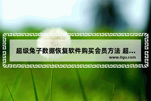 超级兔子数据恢复软件购买会员方法 超级兔子数据恢复软件怎么购买会员