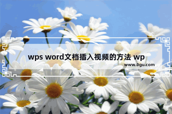 wps word文档插入视频的方法 wps word文档怎么插入视频