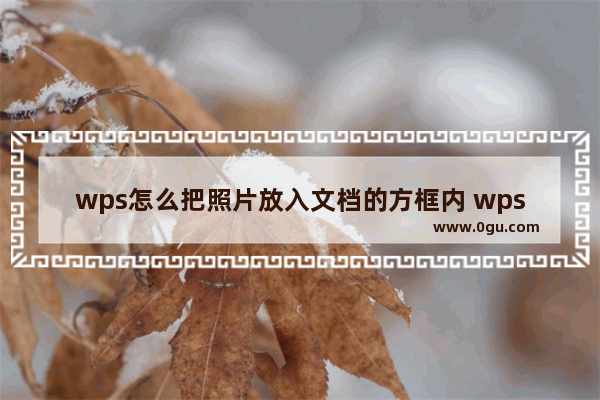 wps怎么把照片放入文档的方框内 wps把照片放入文档的方框内方法