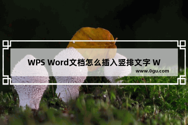 WPS Word文档怎么插入竖排文字 WPS Word文档插入竖排文字的方法