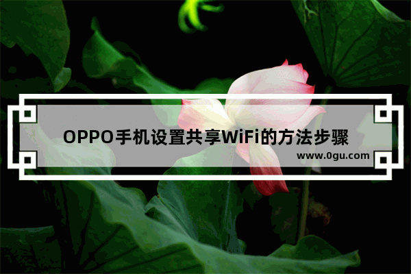 OPPO手机设置共享WiFi的方法步骤