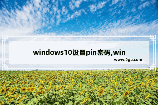 windows10设置pin密码,win10知道pin码但不知道登录密码