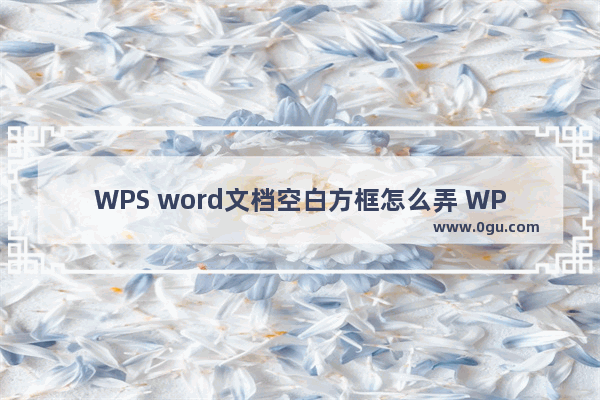 WPS word文档空白方框怎么弄 WPS word文档空白方框插入方法