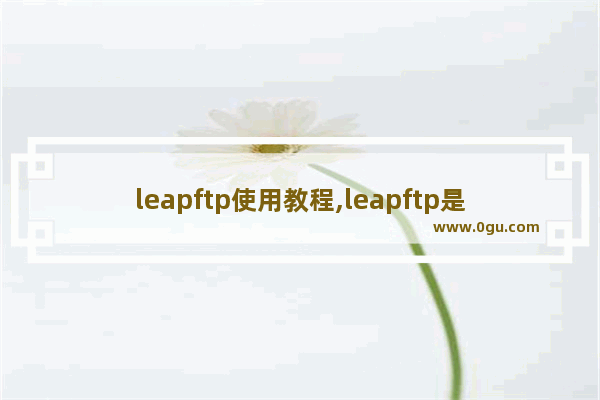 leapftp使用教程,leapftp是什么软件